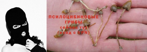 каннабис Абдулино