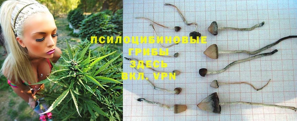 каннабис Абдулино