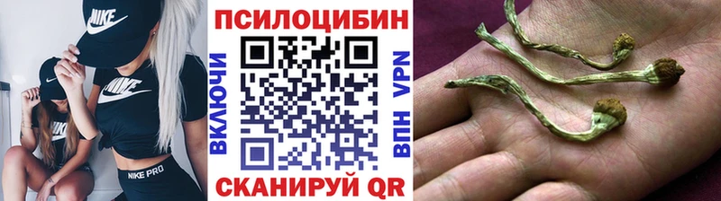 Галлюциногенные грибы Psilocybine cubensis  купить наркотик  mega как зайти  Шимановск 